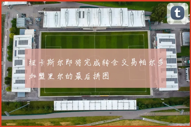 纽卡斯尔即将完成转会交易帕尔多加盟里尔的最后拼图
