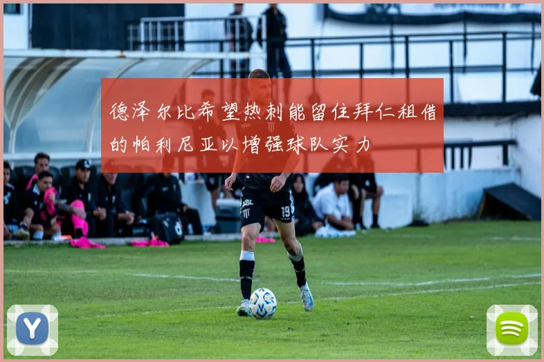 德泽尔比希望热刺能留住拜仁租借的帕利尼亚以增强球队实力